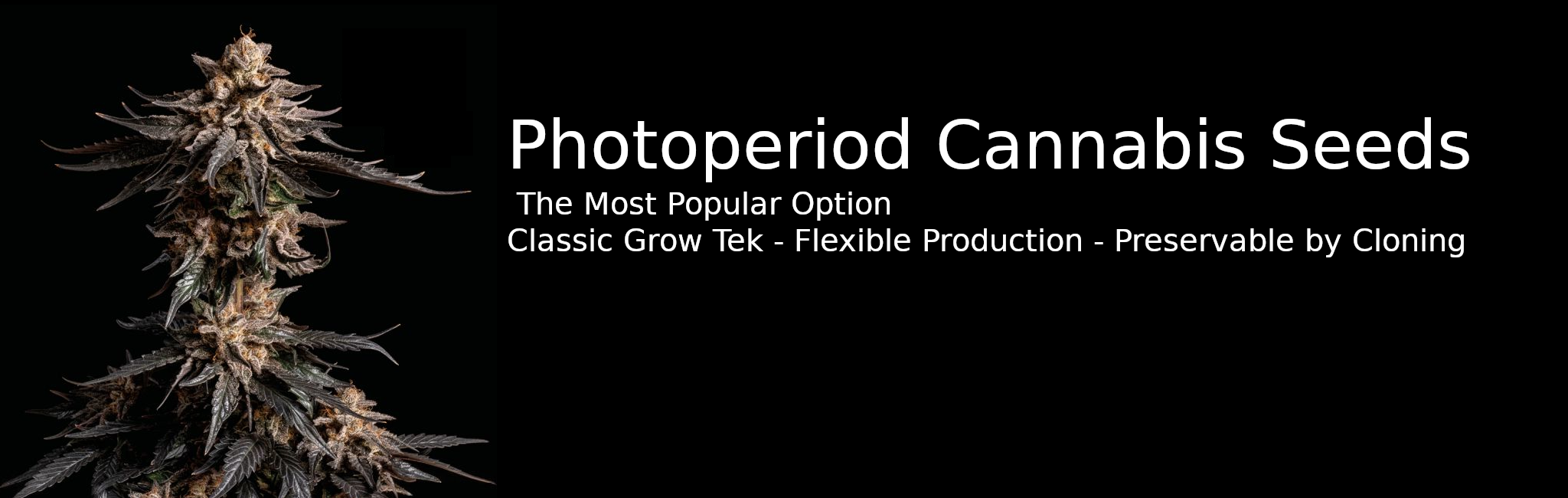 photoslide